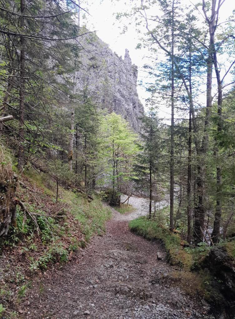 Kwatery Prywatne-Romanowka Zakopane Eksteriør billede