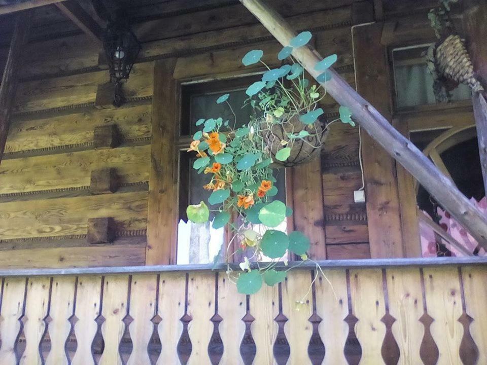 Kwatery Prywatne-Romanowka Zakopane Eksteriør billede