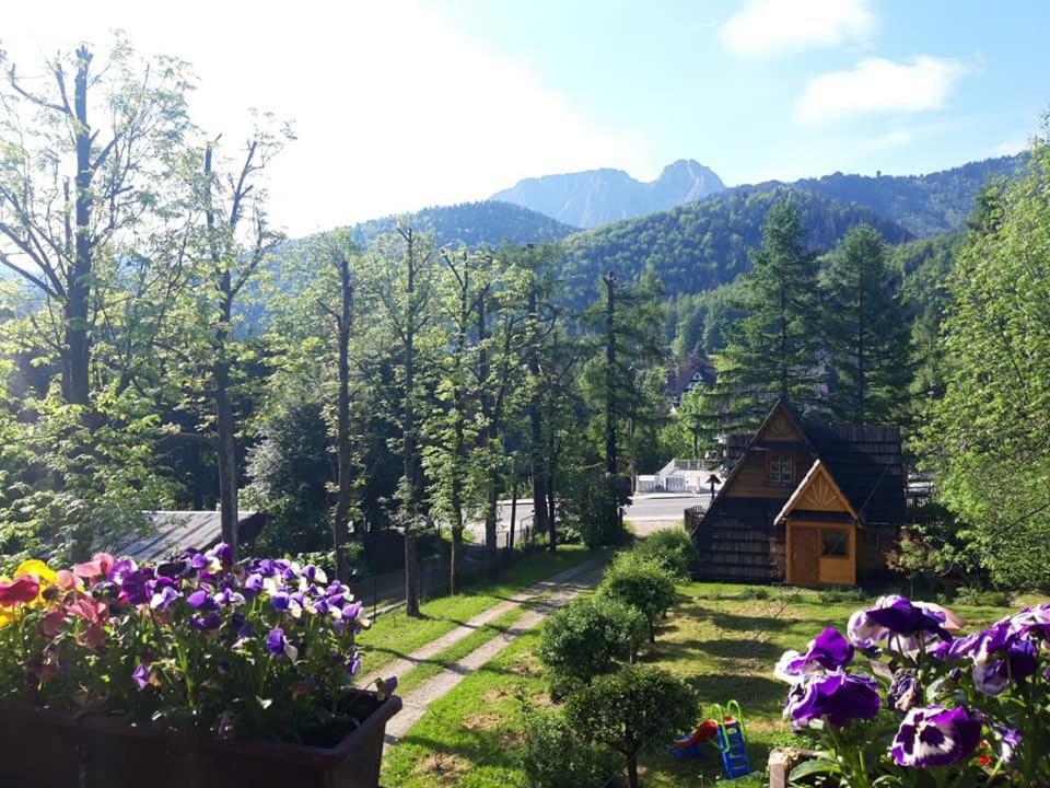 Kwatery Prywatne-Romanowka Zakopane Eksteriør billede